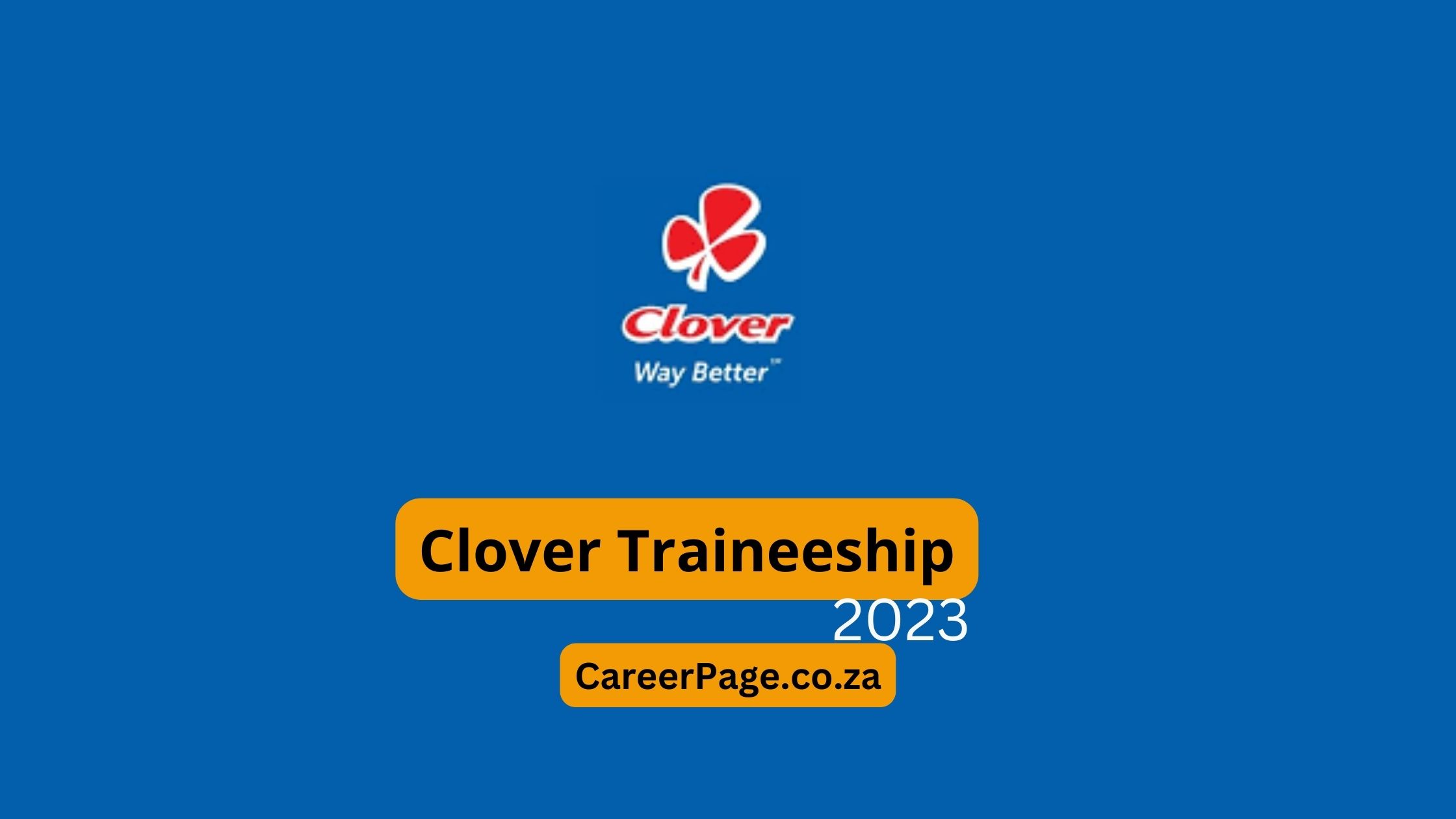 Clover Traineeship Programme