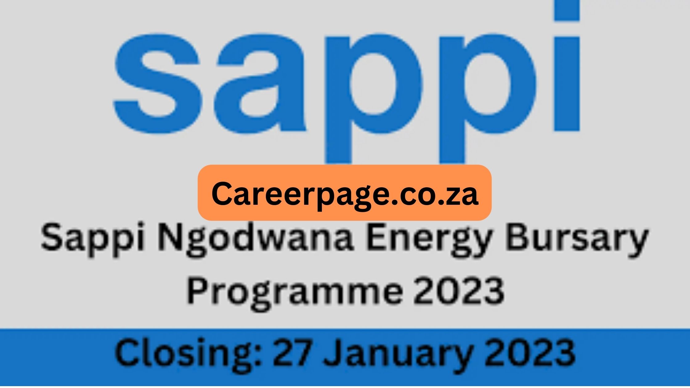 Ngodwana Energy Bursary 2024