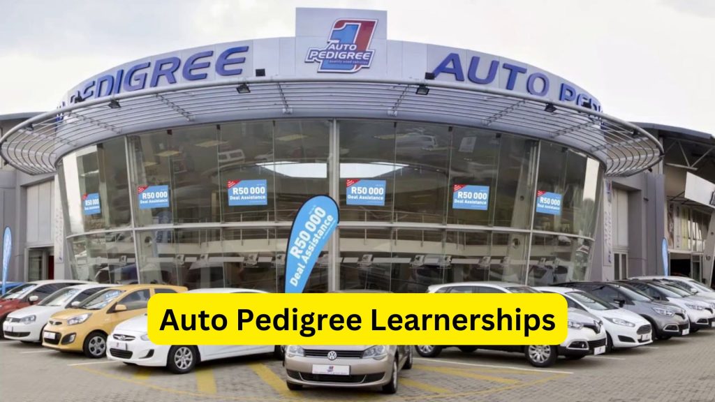 Auto Pedigree Learnership programme
