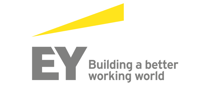 EY Bursary 2026