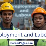Department of Employment and Labour Internships